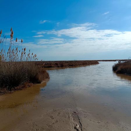 Rincon Del Delta, Apartamento En El Delta Del Ebro, Playa Trabucador Amposta, Tarragona L'Eucaliptus Экстерьер фото