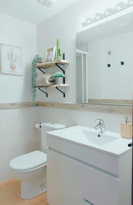 Rincon Del Delta, Apartamento En El Delta Del Ebro, Playa Trabucador Amposta, Tarragona L'Eucaliptus Экстерьер фото