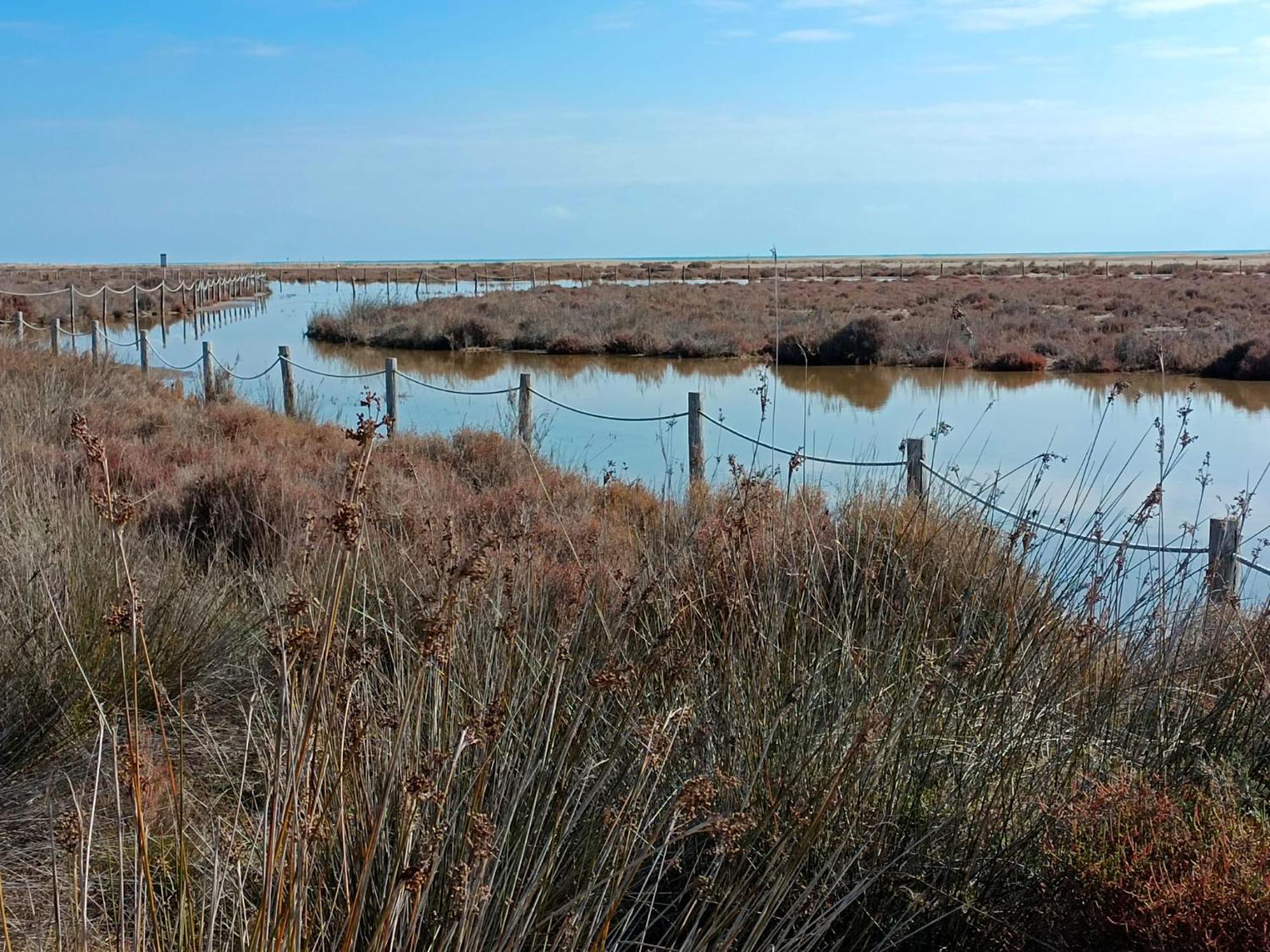 Rincon Del Delta, Apartamento En El Delta Del Ebro, Playa Trabucador Amposta, Tarragona L'Eucaliptus Экстерьер фото