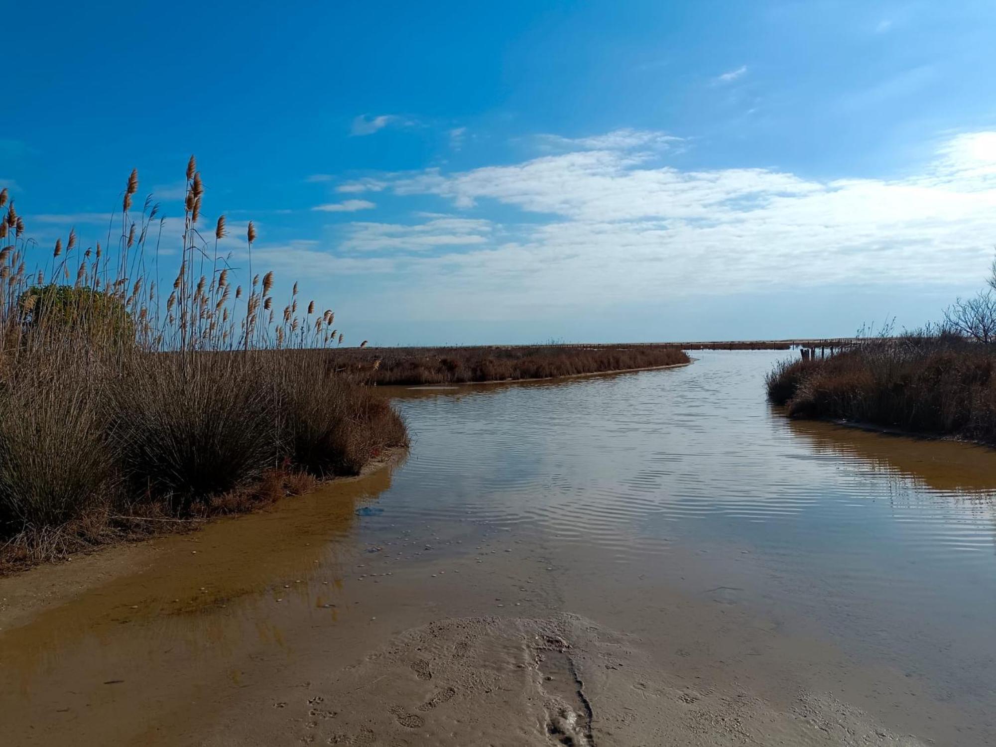 Rincon Del Delta, Apartamento En El Delta Del Ebro, Playa Trabucador Amposta, Tarragona L'Eucaliptus Экстерьер фото